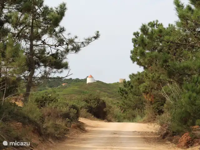 Maison VARZEA | Portugal, Costa de Prata, Alfeizerão - maison de vacances Vous pouvez faire de très belles promenades dans la région dans un cadre magnifique.