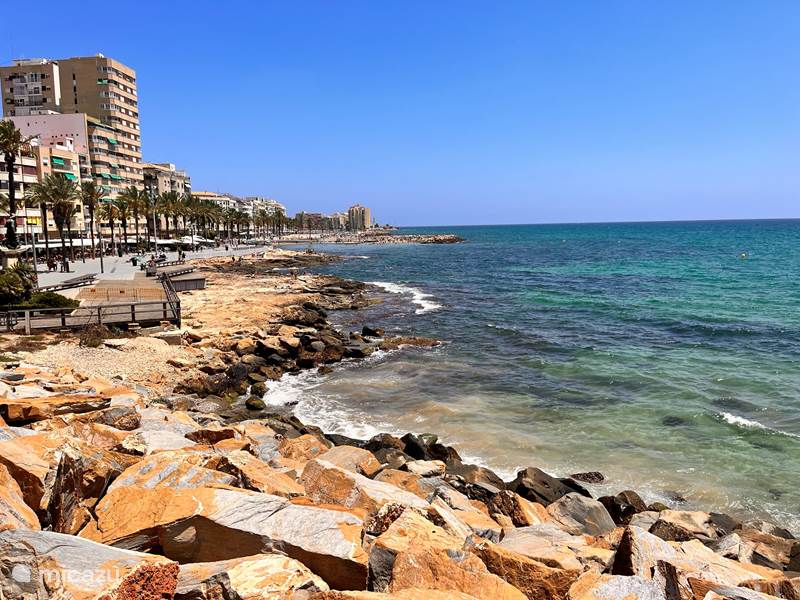 Vakantiehuis Spanje, Costa Blanca, Torrevieja Appartement Strand Playa del Cura&Sight Apartmt