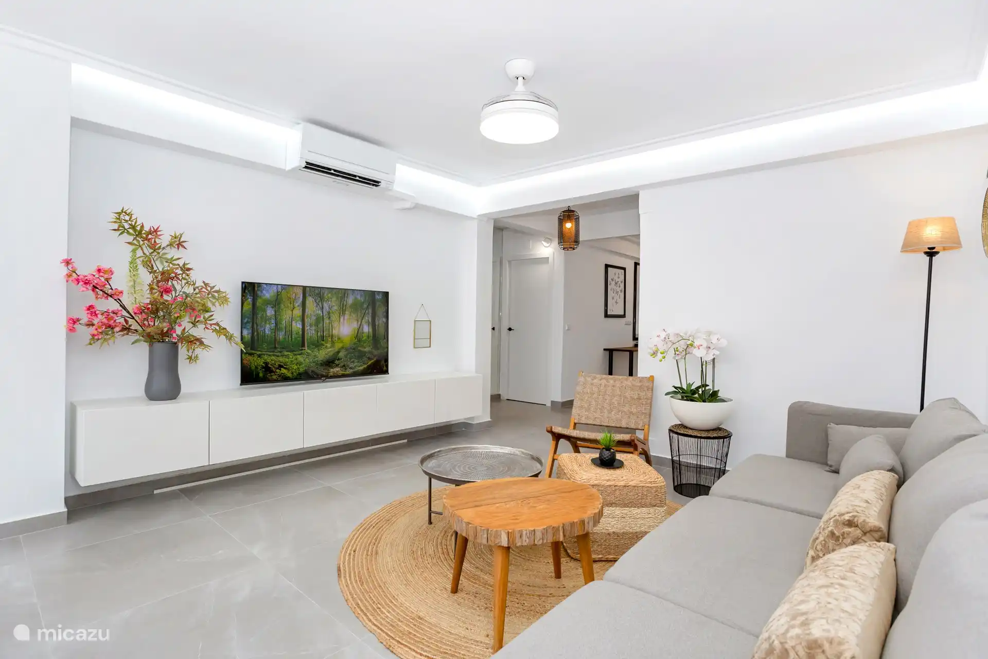 HISENSE 65 ip tv + WIFI