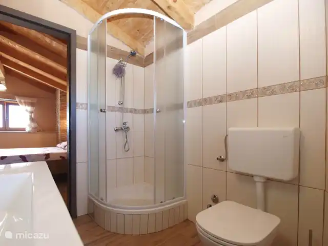 vakantiehuis huren in Kroatië, Istrië, Zminj – Huis Galant badkamer