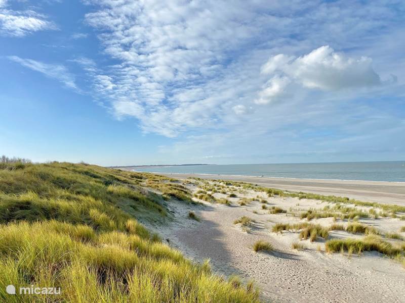 Holiday home in Netherlands, Zeeland, Kamperland Holiday house Eb en Vloed 41-Holiday home by the sea