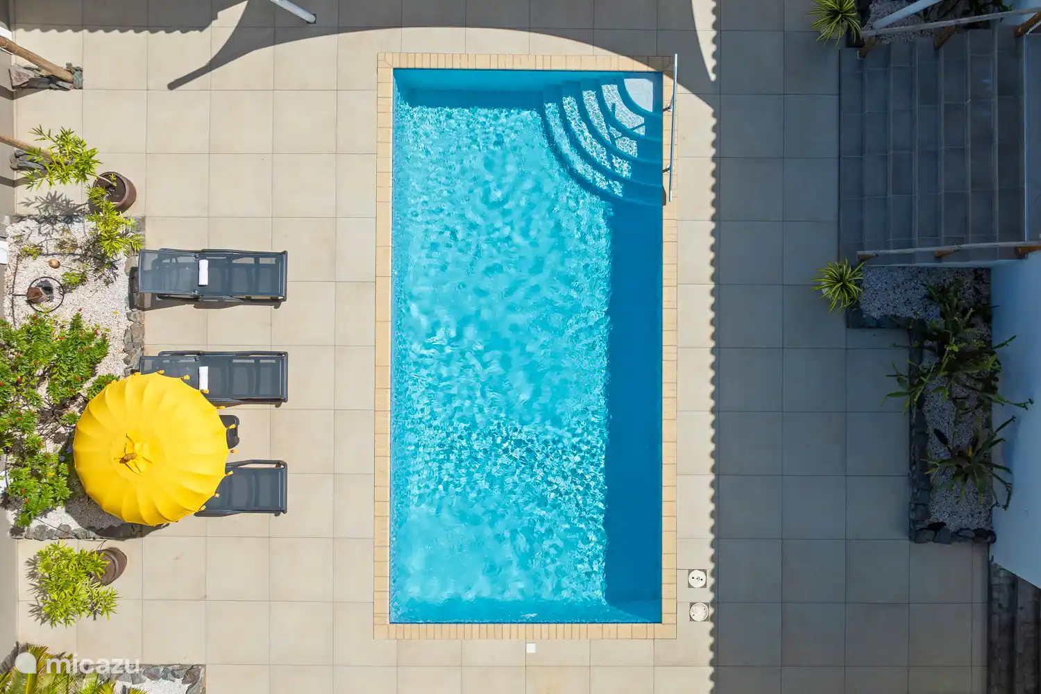 Was für ein schönes Bild