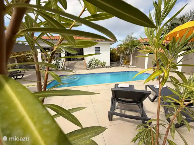 Kas Haddock huren in Curaçao, Banda Ariba (oost), Brakkeput Abou - villa Veel groen