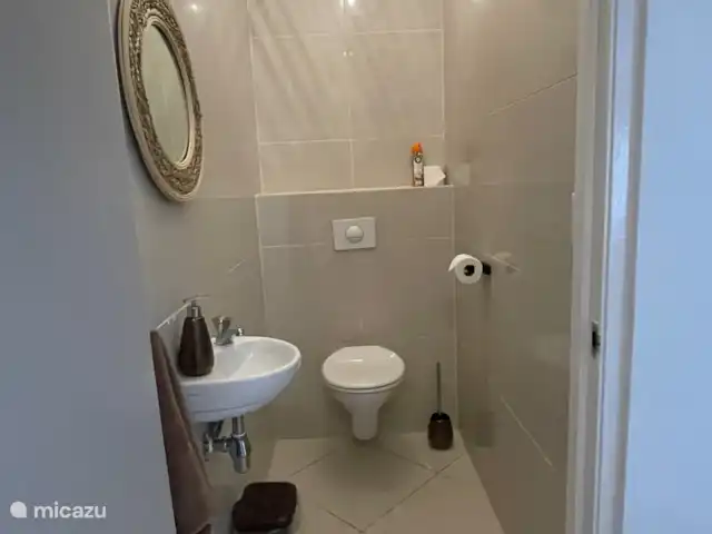 Kas Haddock huren in Curaçao, Banda Ariba (oost), Brakkeput Abou - villa Gasten toilet