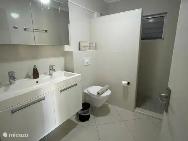 Kas Haddock huren in Curaçao, Banda Ariba (oost), Brakkeput Abou - villa Badkamer