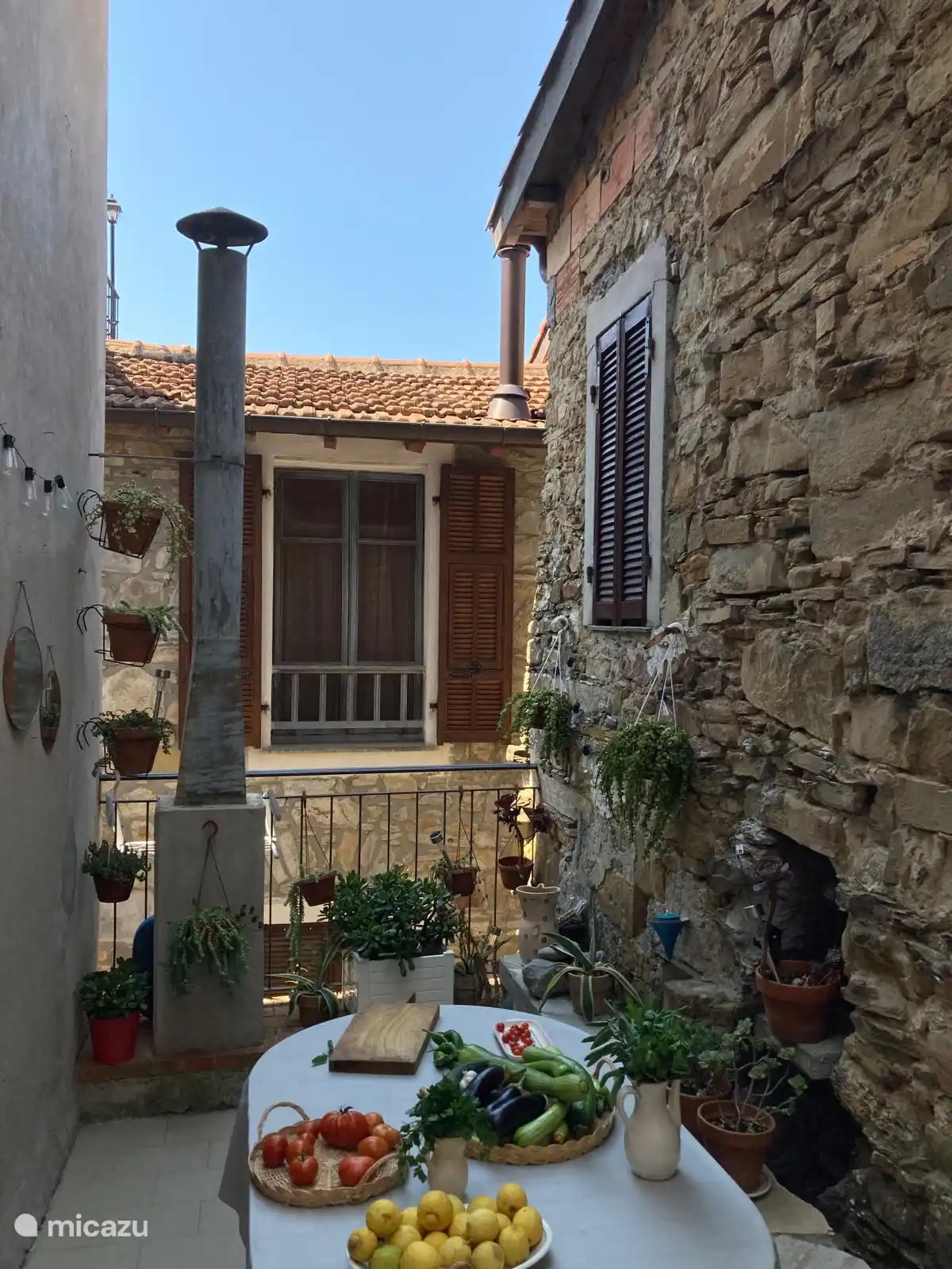 Het terras omringd door vetplanten, onze passie