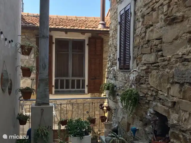 Maison de campagne sur la mer Ligure | Italie, Ligurie, Ventimiglia - maison de vacances La terrasse entourée de plantes succulentes, notre passion