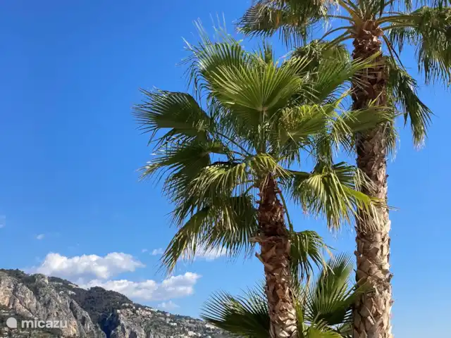 Maison de campagne sur la mer Ligure | Italie, Ligurie, Ventimiglia - maison de vacances Menton