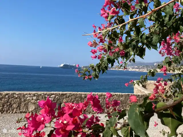 Maison de campagne sur la mer Ligure | Italie, Ligurie, Ventimiglia - maison de vacances Bouganville