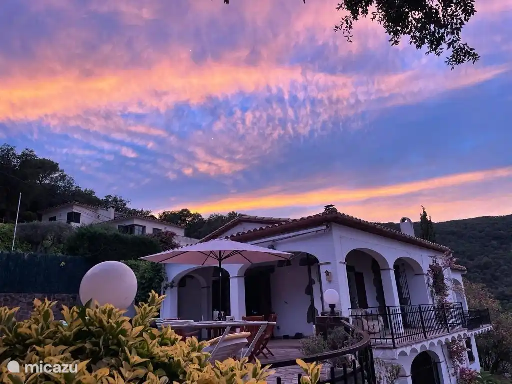 The house seen from the side