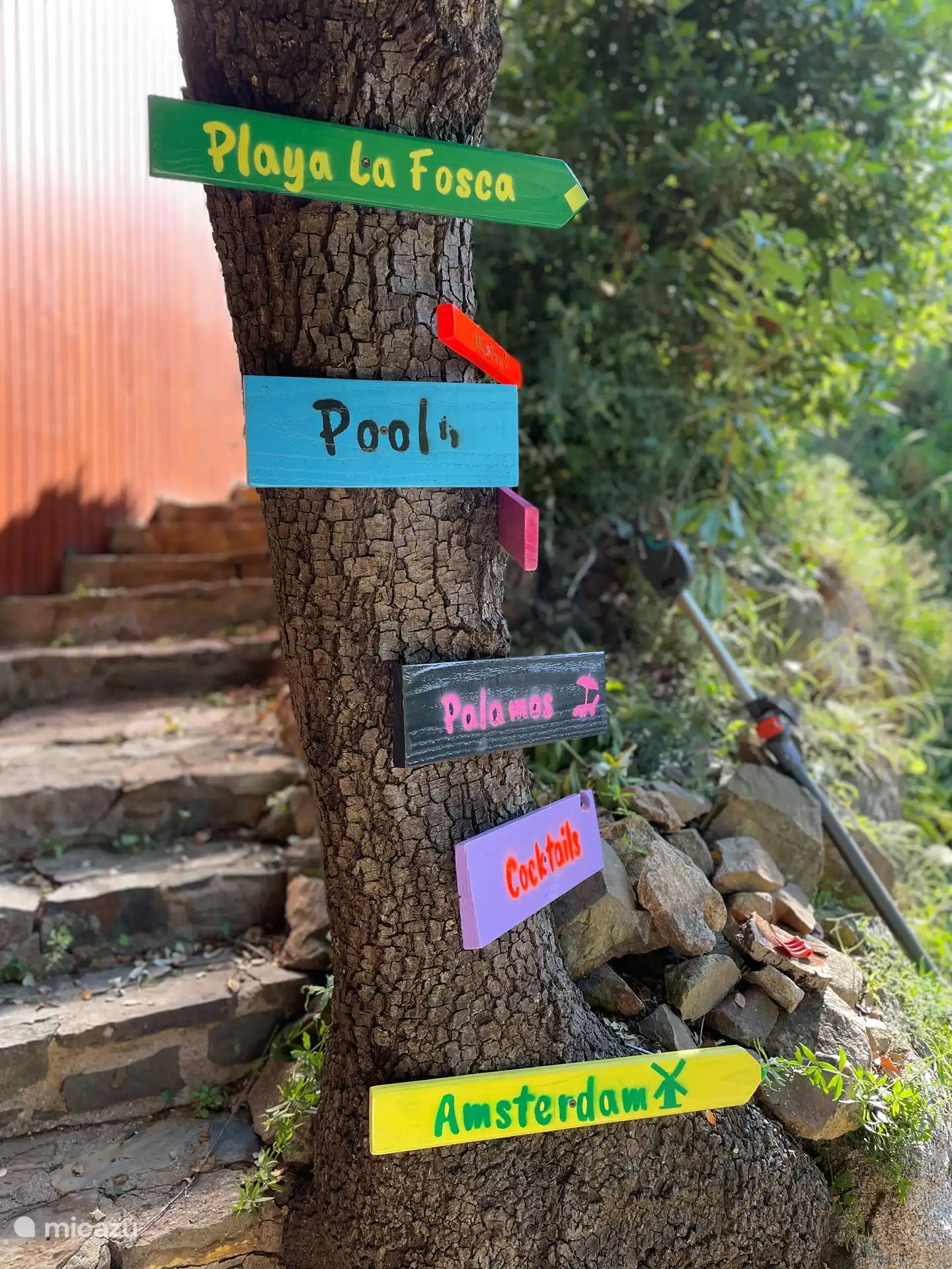 The path to the pool and house