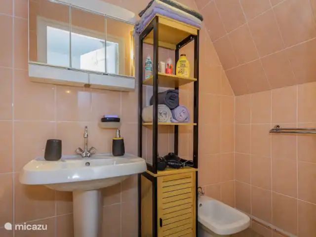 Rosepèche | France, Dordogne, Les Eyzies-de-Tayac-Sireuil - maison de vacances Salle de Bains