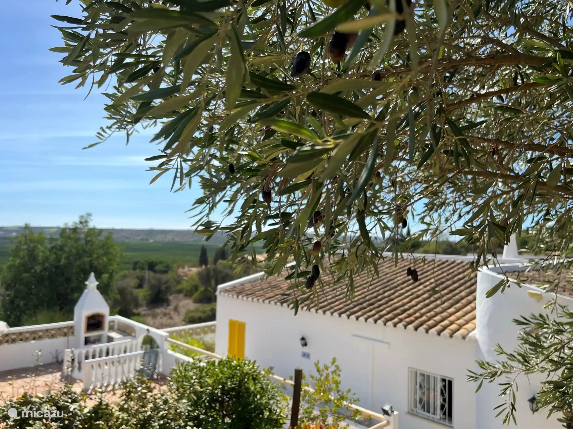 Het uitzicht vanaf onze groentetuin op ons huis