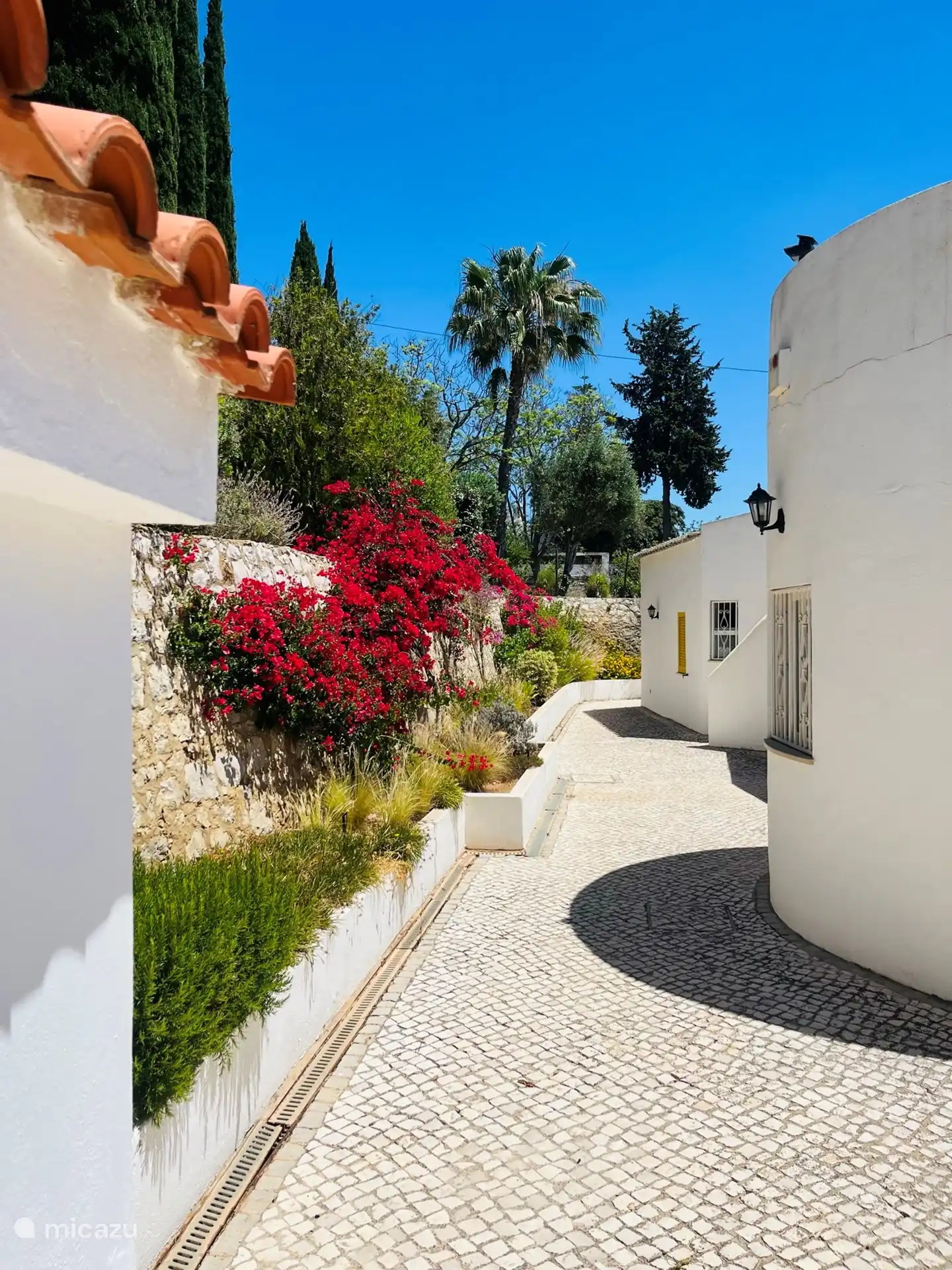 De voorkant van het huis