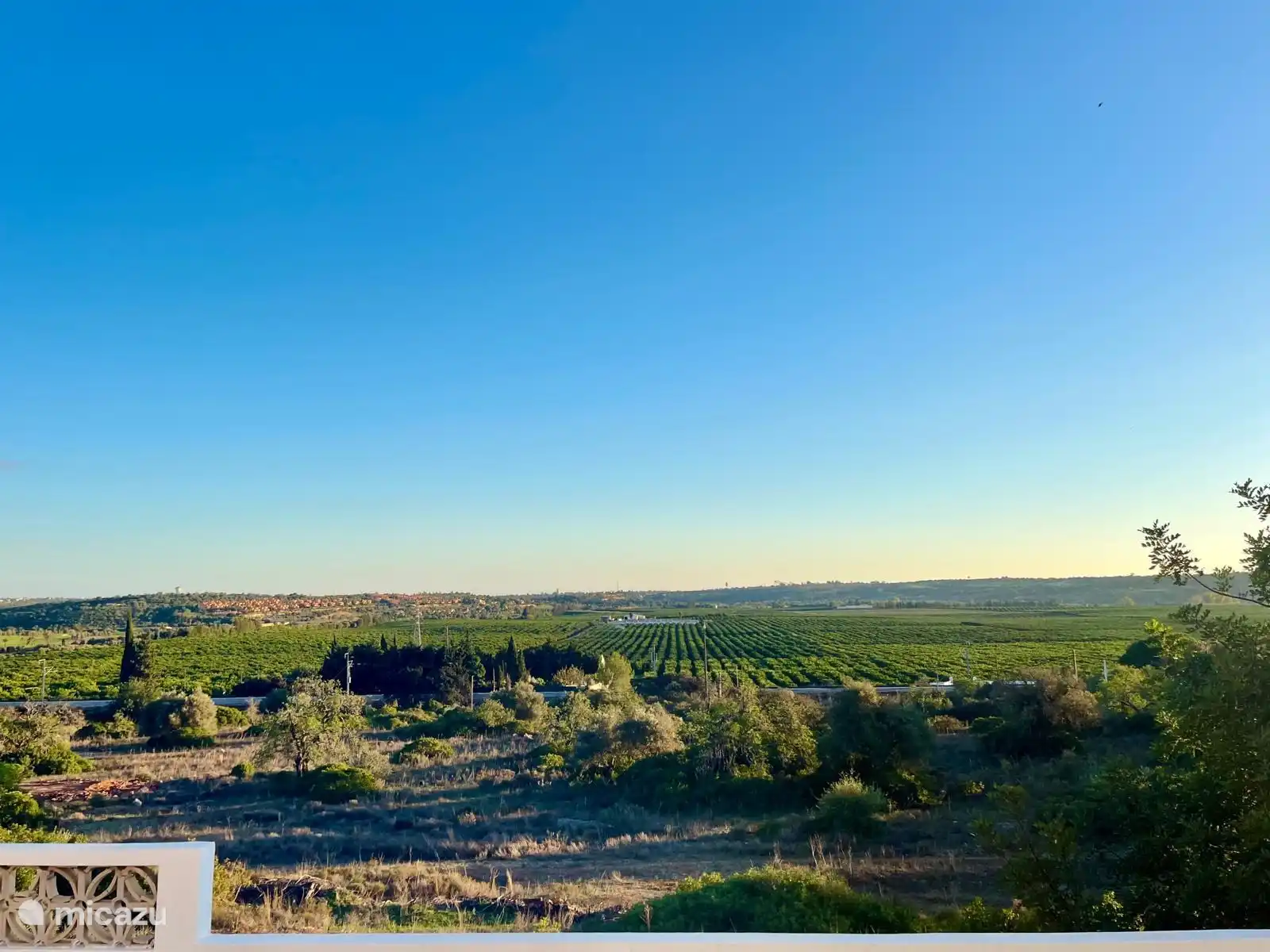 Het schitterende uitzicht over de sinasappelvelden