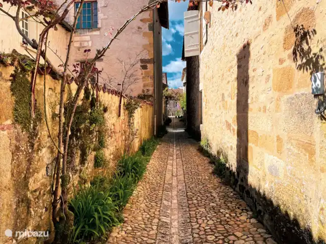Le Coucou au Petit Bouleau | France, Dordogne, Saint-Pardoux-la-Rivière - appartement Les rues authentiques de Saint Jean de Cole
