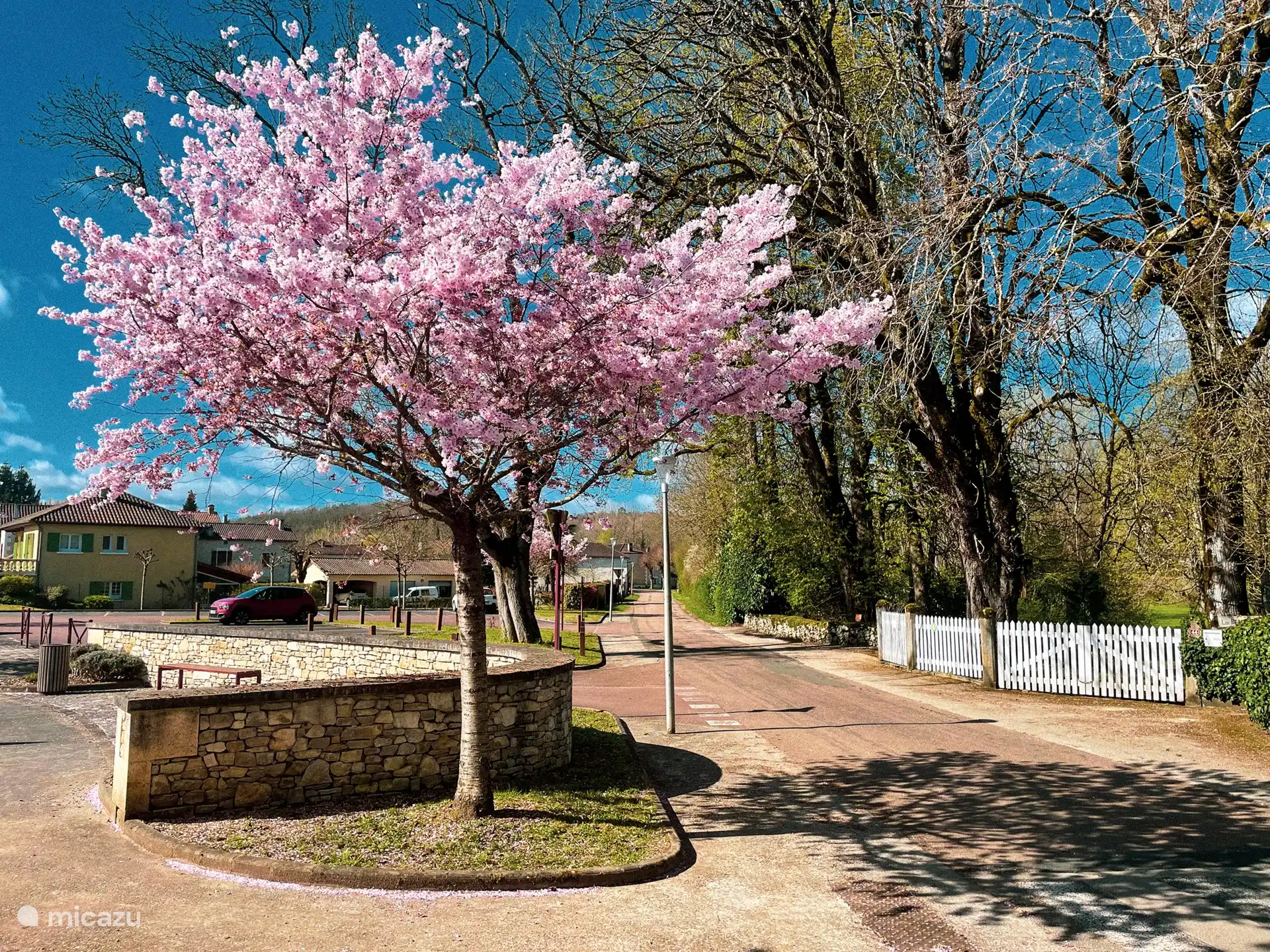Primavera en Saint-Pardoux-la-Rivi&#232;re.