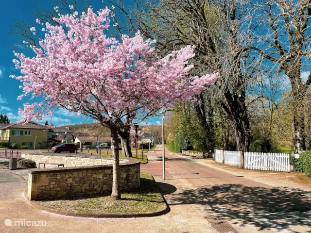 Le Coucou au Petit Bouleau | France, Dordogne, Saint-Pardoux-la-Rivière - appartement Le printemps à Saint-Pardoux-la-Rivière.