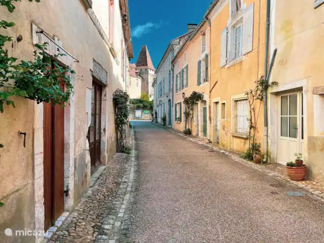 Le Coucou au Petit Bouleau | France, Dordogne, Saint-Pardoux-la-Rivière - appartement Une vision typiquement française.