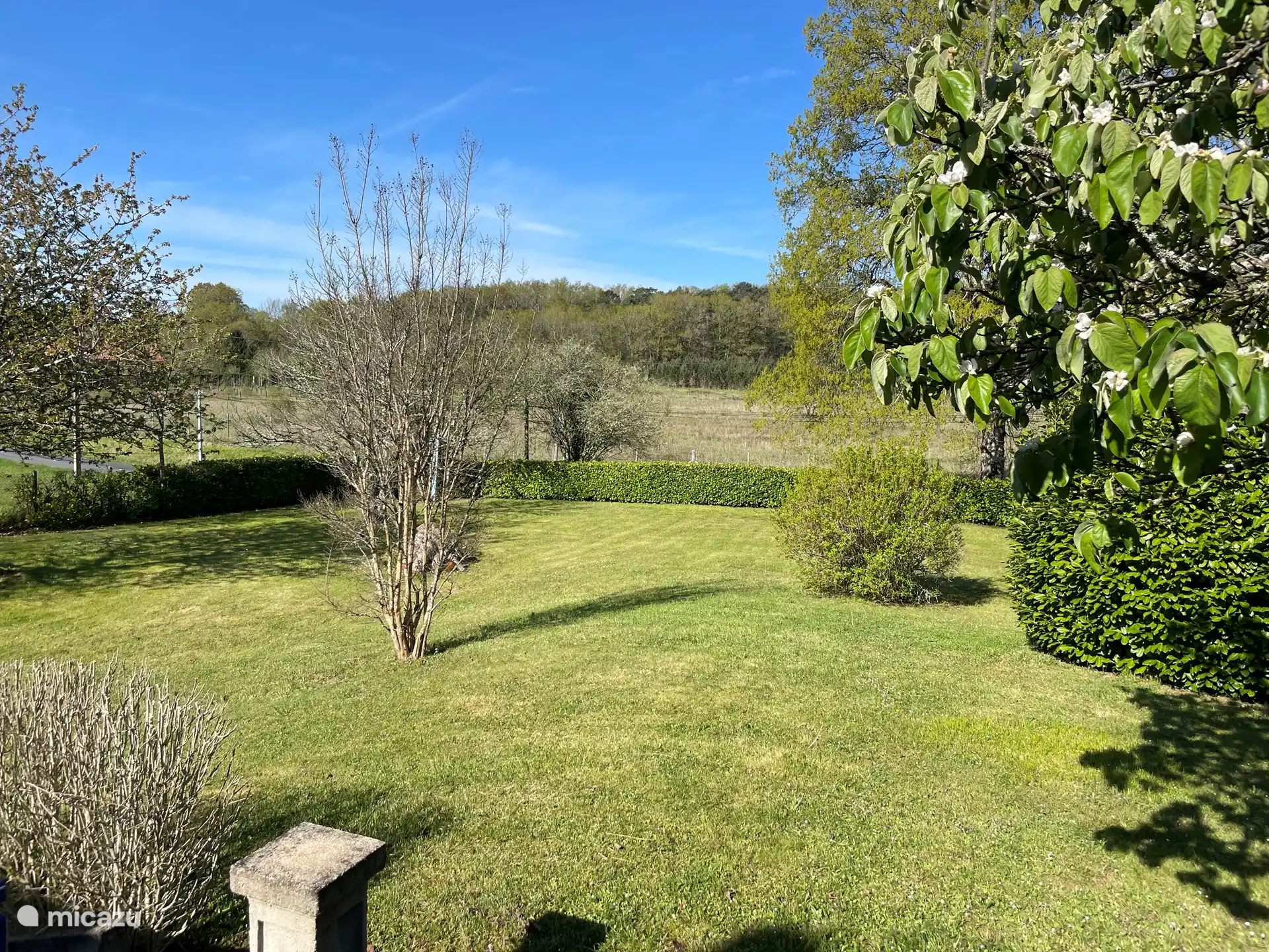 El jard&#237;n del Petit Bouleau