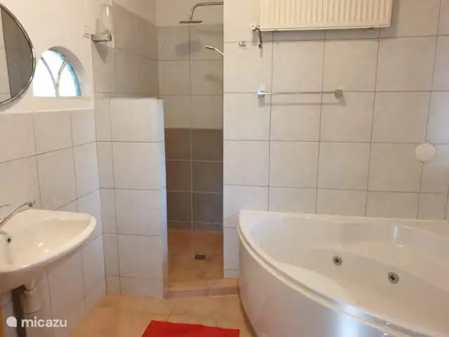 Guesthouse 10 | Pays-Bas, Hollande du Nord, Schellinkhout - maison de vacances Salle de bain avec lavabo, douche, WC et baignoire Jaccouzi.