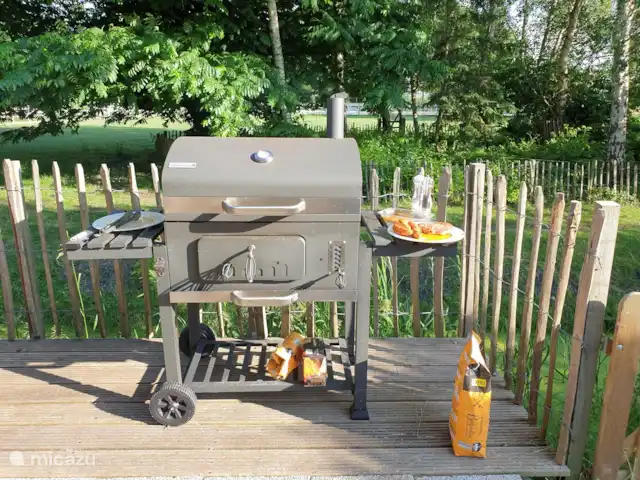 Guesthouse 10 | Pays-Bas, Hollande du Nord, Schellinkhout - maison de vacances Le barbecue