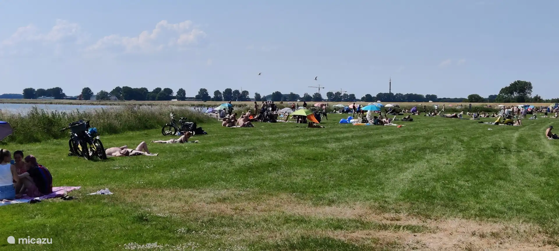 Playa de (kite)surf Schellinkhout a 2 kilómetros.