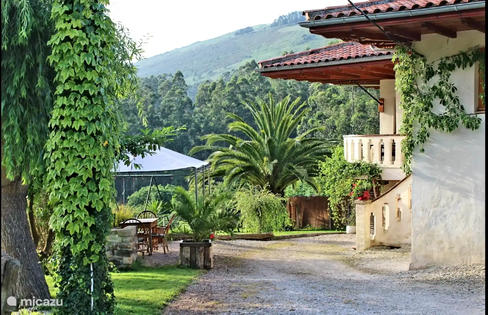 Escondido en el verde