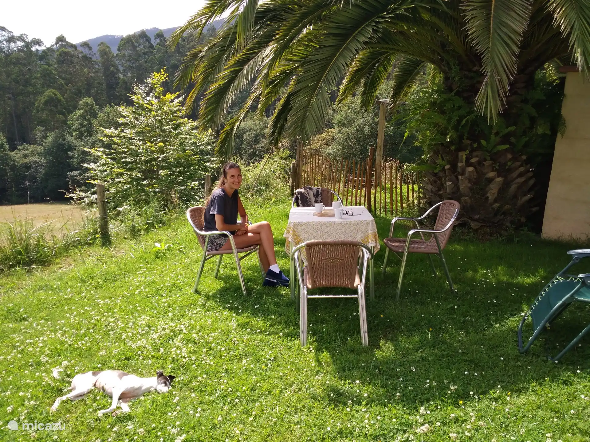 Asiento de jard&#237;n