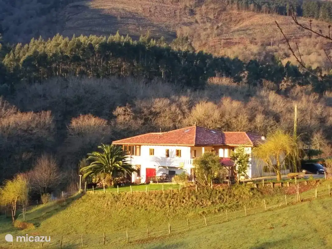 Descripci&#243;n general