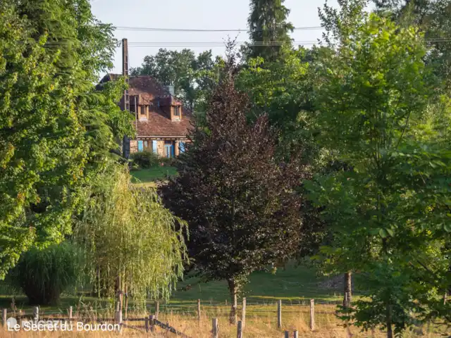 Location de Vacances France, Corrèze, Lubersac , gîte / cottage - 364 Impasse de Maury Situé sur notre propre domaine de 4 hectares, entouré de prairies avec des vaches