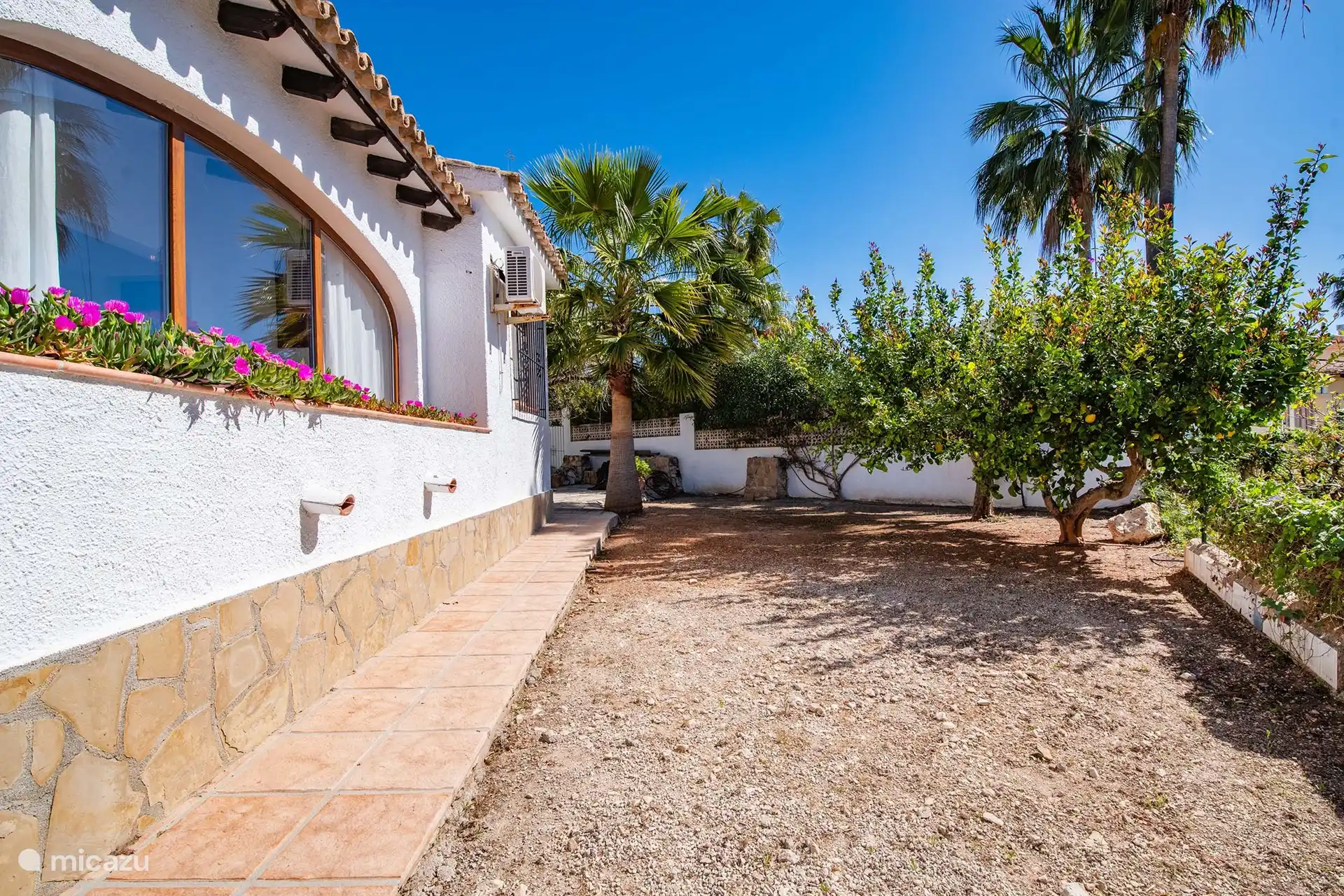 Seitenansichthaus mit Zitronenbaum