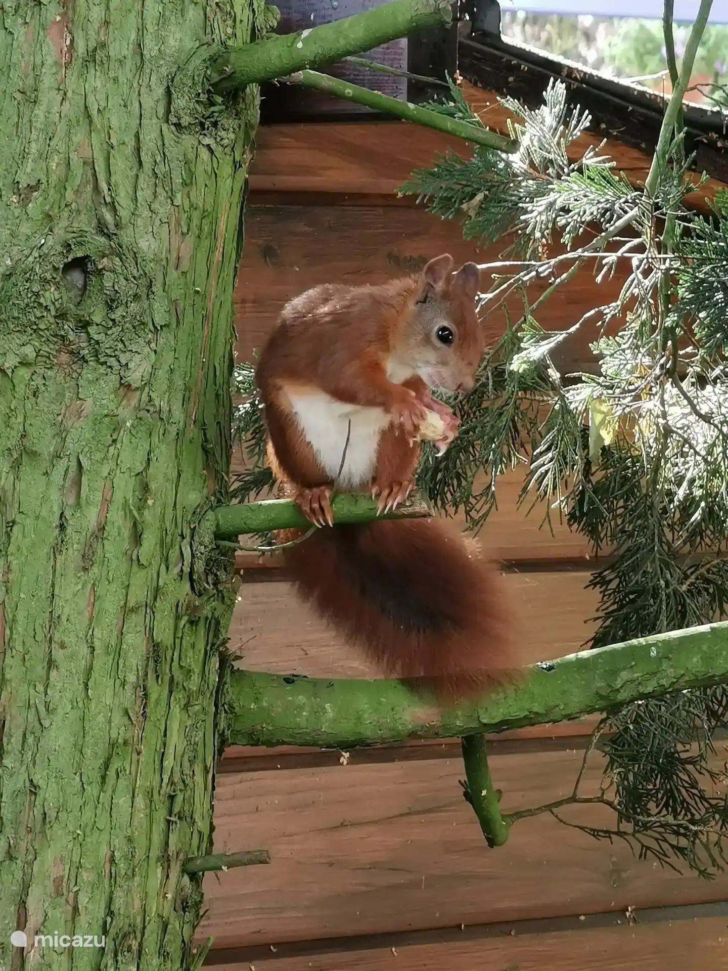 Zu einer natürlichen Umgebung gehören auch Tiere. Wirst du sie auch finden?