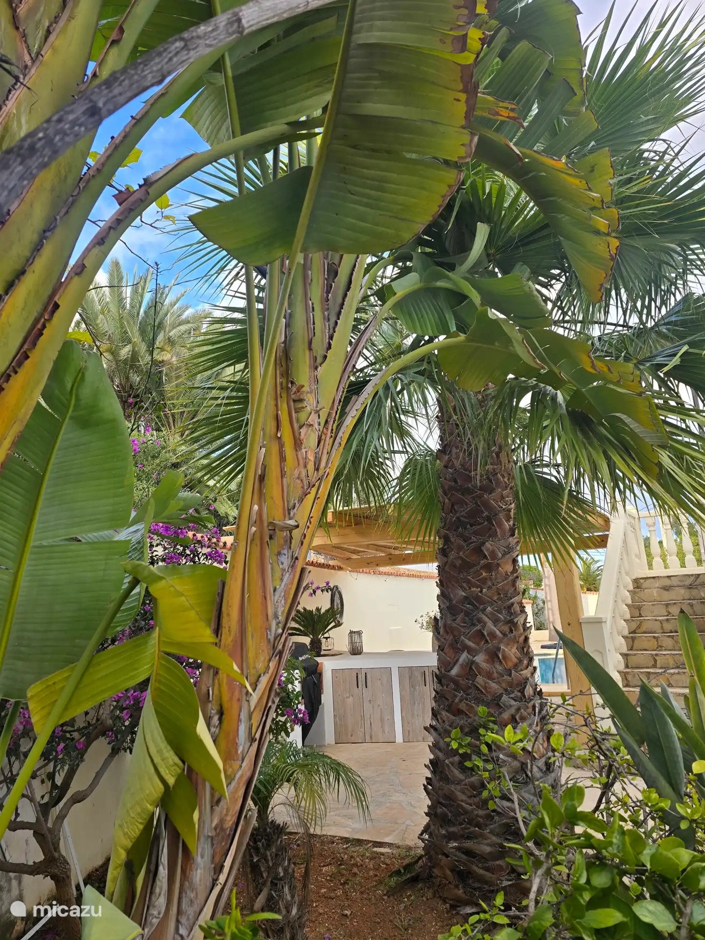 Blick vom Haus zum Schwimmbad