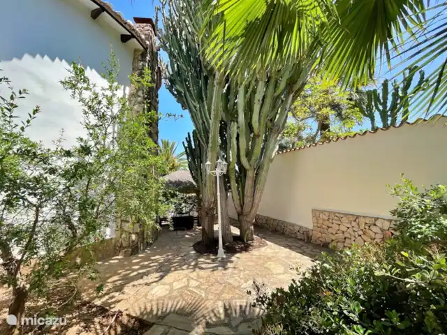 Casa Las tres Hijas huren in Spanje, Costa Blanca, Benissa - villa Onze prachtige cactus