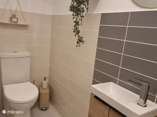 Casa Las tres Hijas huren in Spanje, Costa Blanca, Benissa - villa Modern toilet op de begane grond