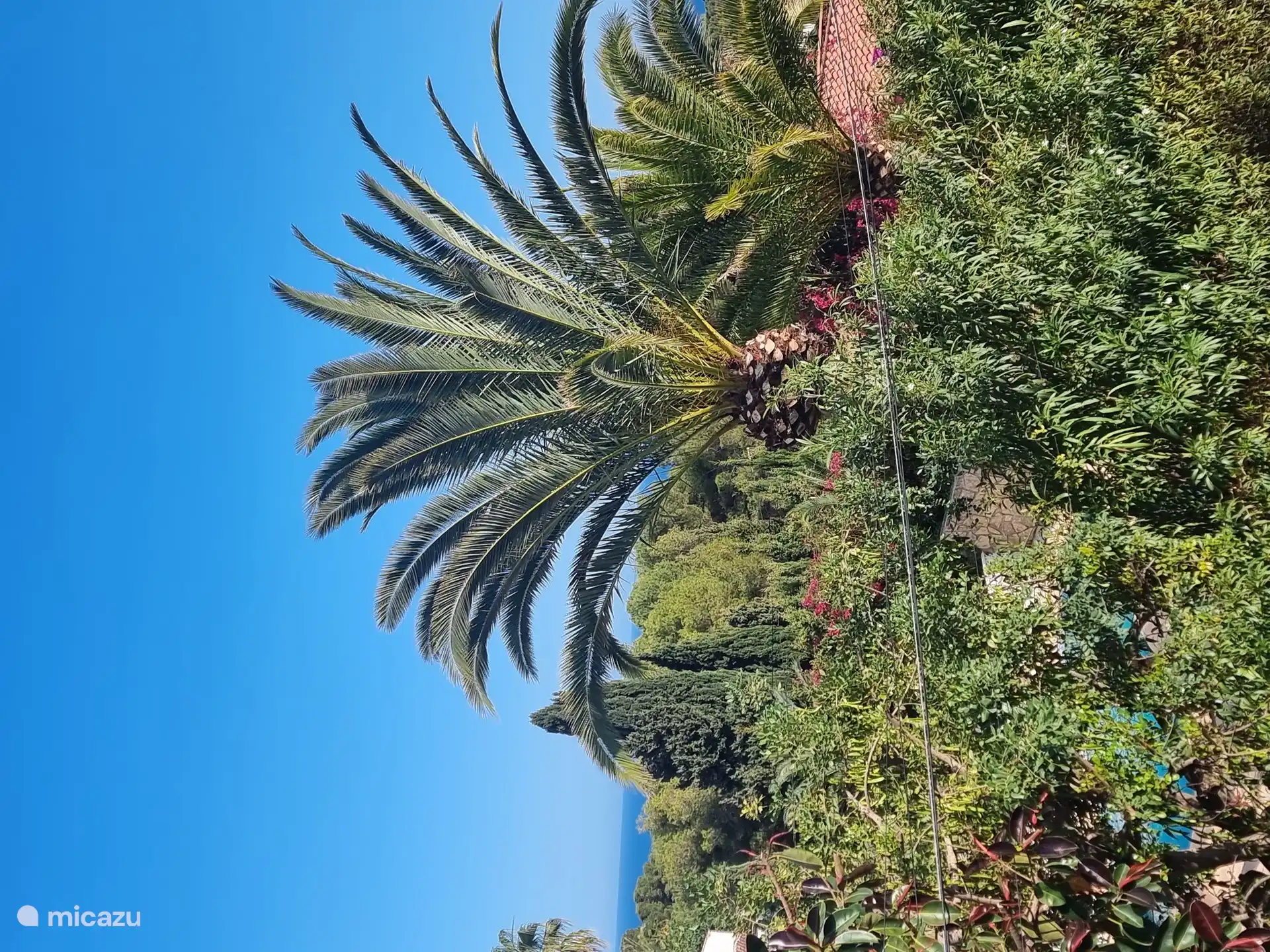 Vue depuis la chambre