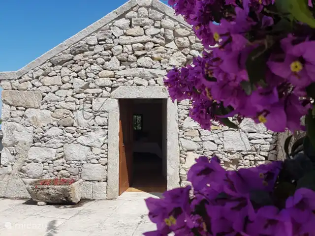 Location de Vacances Portugal, Costa Verde, Viana Do Castelo, villa - Villa Afifé Villa Afifé