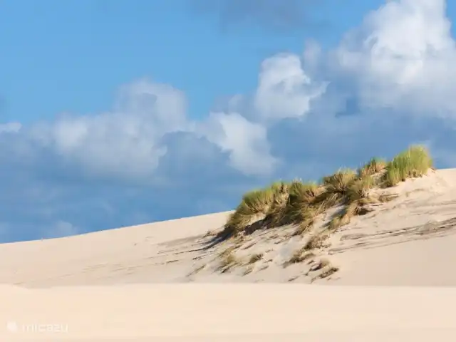 Le chemin sacré | Pays-Bas, Hollande du Nord, Egmond aan Zee - maison de vacances Egmond
