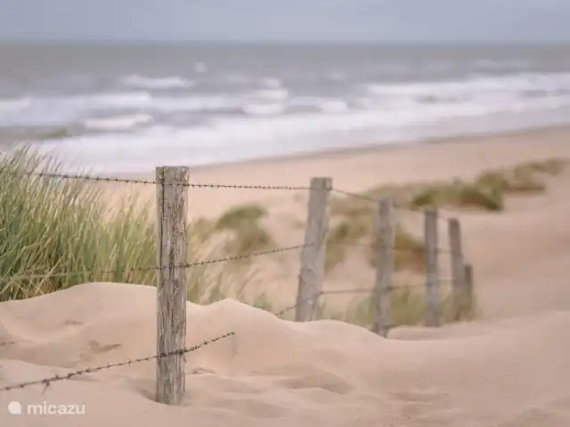 Le chemin sacré | Pays-Bas, Hollande du Nord, Egmond aan Zee - maison de vacances Egmond