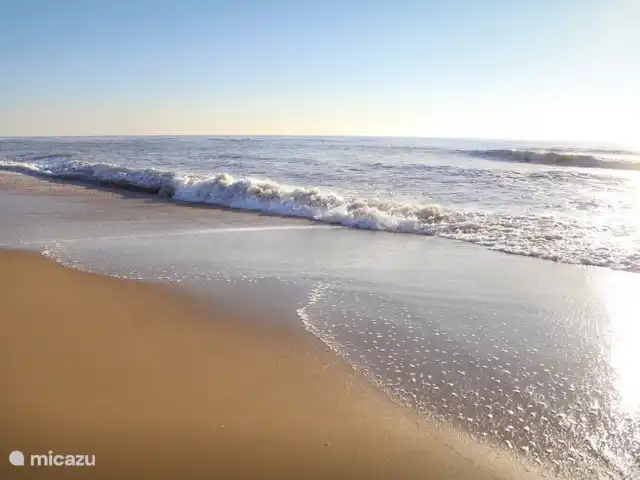 Le chemin sacré | Pays-Bas, Hollande du Nord, Egmond aan Zee - maison de vacances Egmond