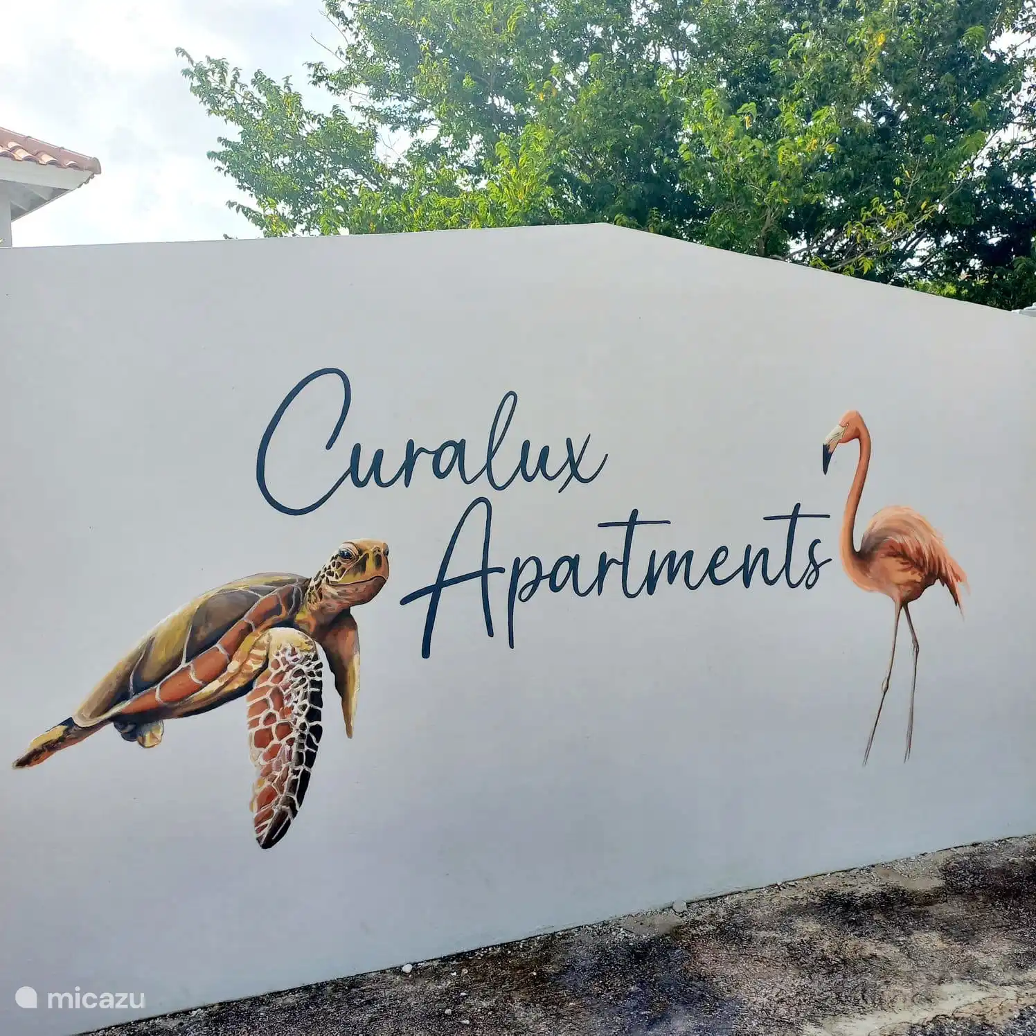 Curalux Apartments heeft twee appartementen; Turtle en Flamingo.