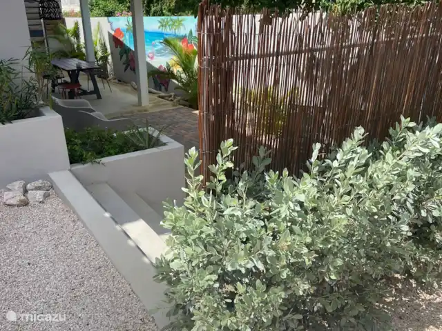 Location de Vacances Curaçao, Banda Ariba (est), Jan Thiel, appartement - Curalux Apartments-Flamingo Flamingo offre de l’intimité, est ombragé et se tient merveilleusement au vent.