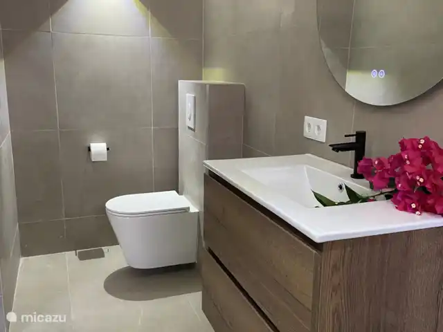 Location de Vacances Curaçao, Banda Ariba (est), Jan Thiel, appartement - Curalux Apartments-Flamingo Salle de bain avec WC.