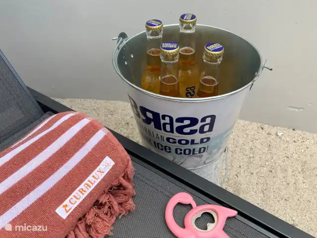 Location de Vacances Curaçao, Banda Ariba (est), Jan Thiel, appartement - Curalux Apartments-Flamingo Bière?