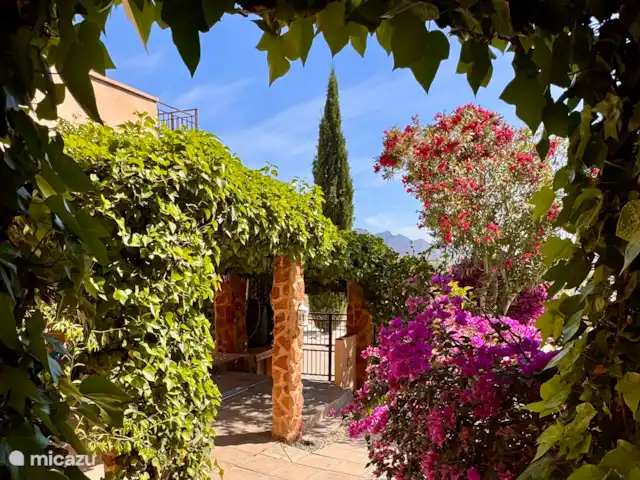 Loma Alta, casa cueva con piscina en España, Costa Blanca, La Murada - casa cueva Vista de la entrada desde el jardín
