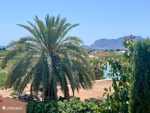 Loma Alta, casa cueva con piscina en España, Costa Blanca, La Murada - casa cueva Entorno inmediato