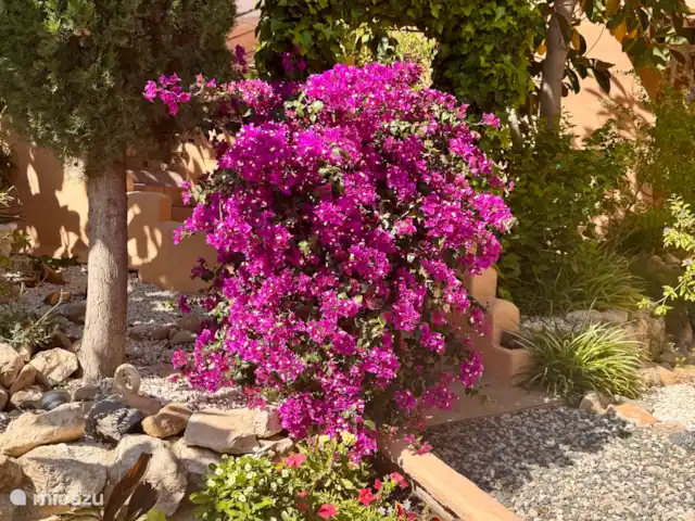 Loma Alta, casa cueva con piscina en España, Costa Blanca, La Murada - casa cueva Jardín