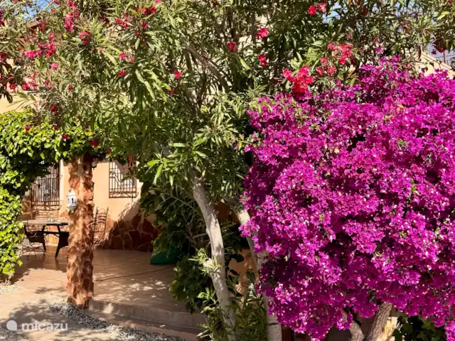 Loma Alta, casa cueva con piscina en España, Costa Blanca, La Murada - casa cueva Jardín