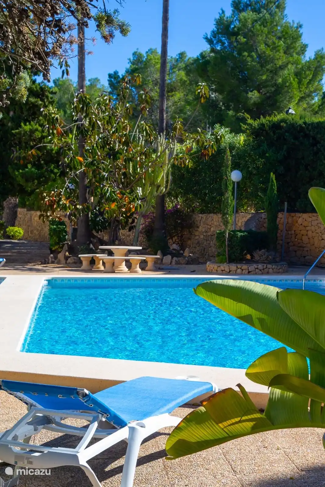 Swimming pool with small shallow pool next to it 